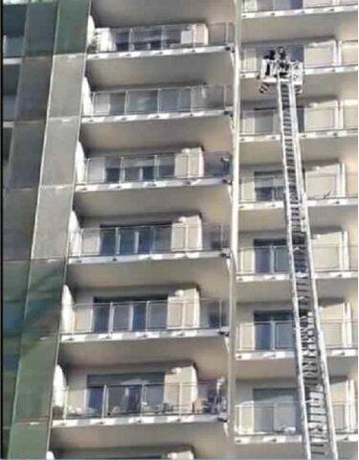 Cane salvato dai Vigili del Fuoco