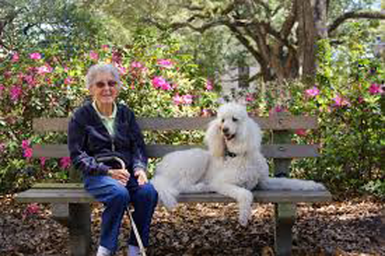 Cane su una panchina insieme ad una donna