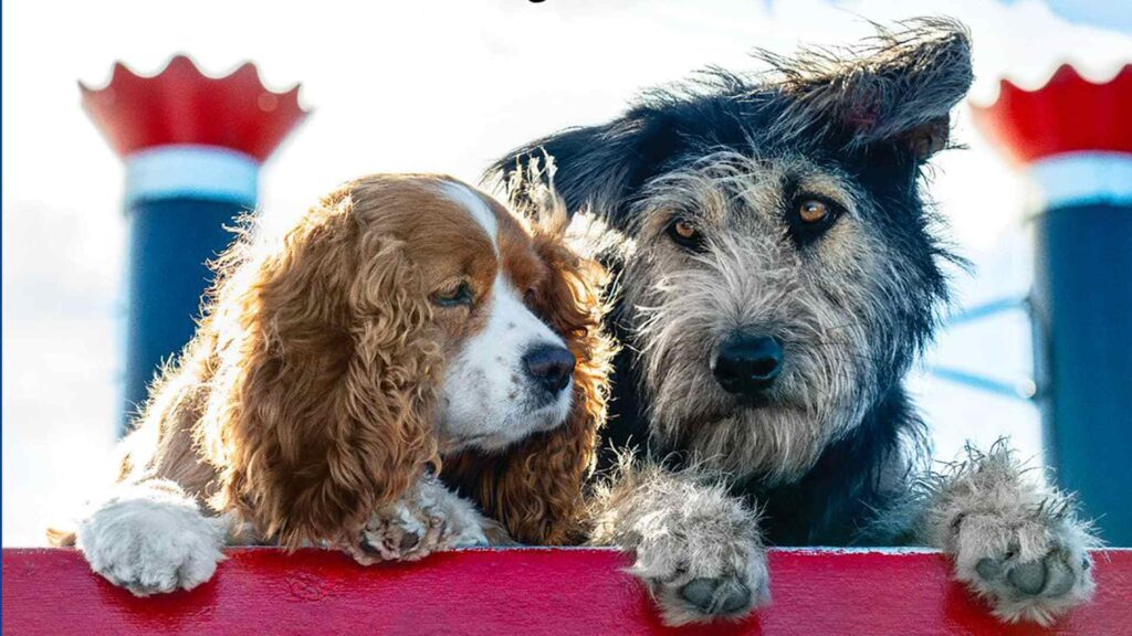 I cani di Lilli e il Vagabondo