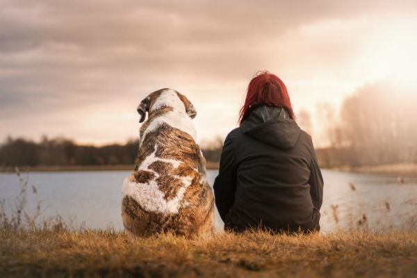 cane e padrona