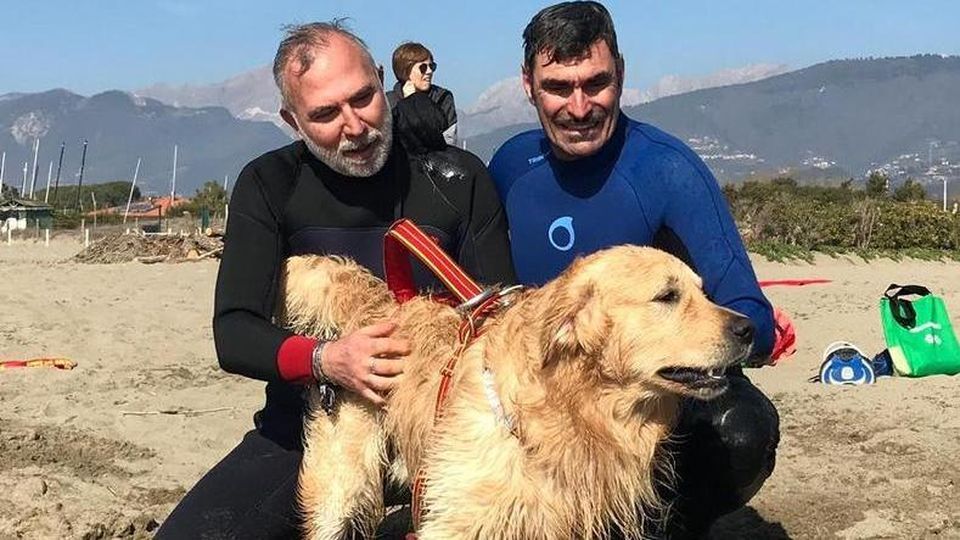 Pablo cane soccorso in spiaggia