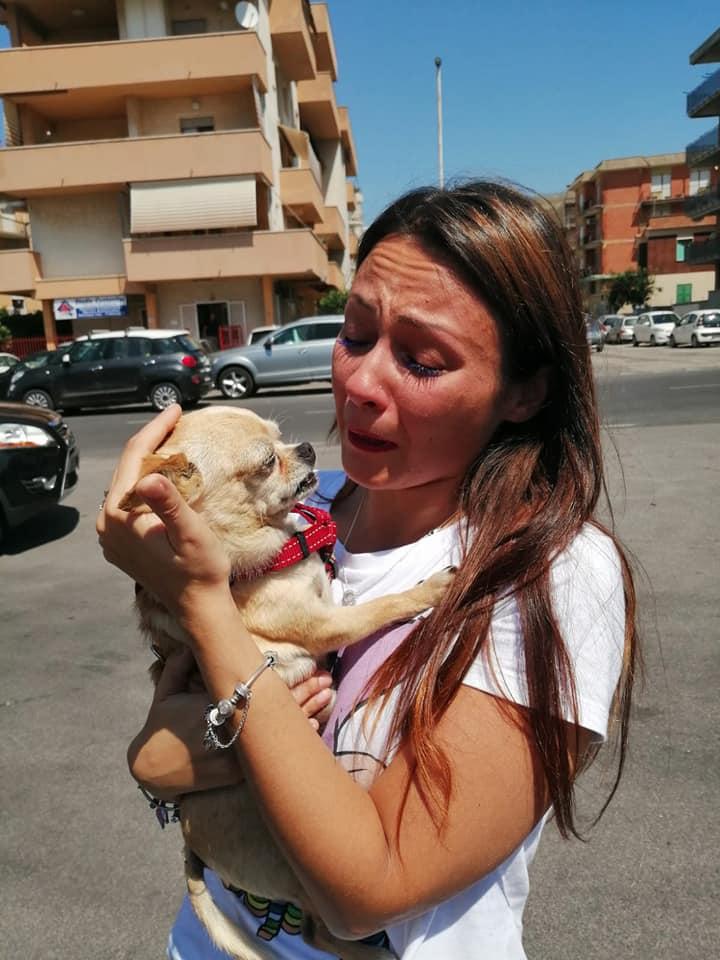 Ragazza felice di rivedere il suo cane