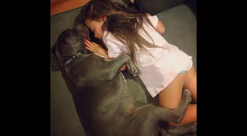 Un cane che dorme con una bambina