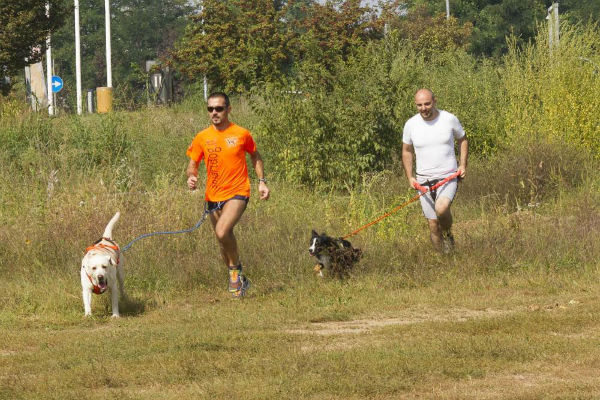 padroni e cani