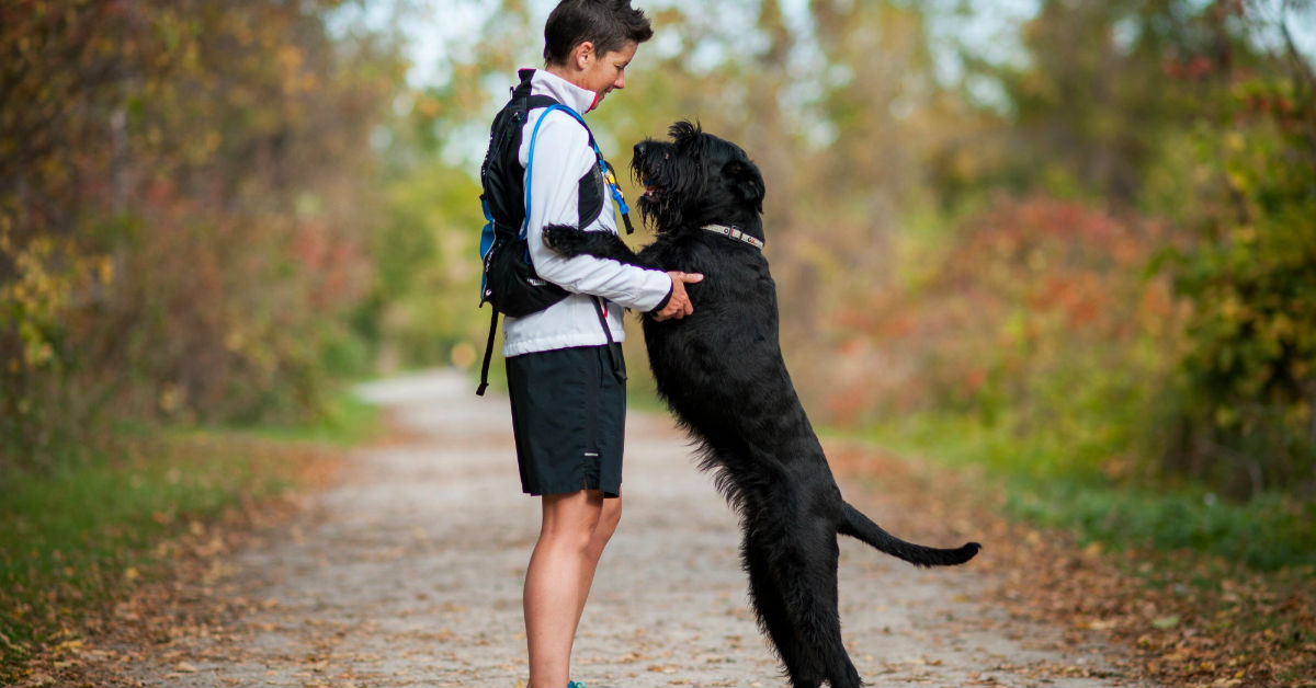 Andare a correre con il cane: 6 consigli utili