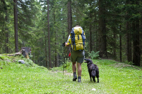 escursione cane e padrone