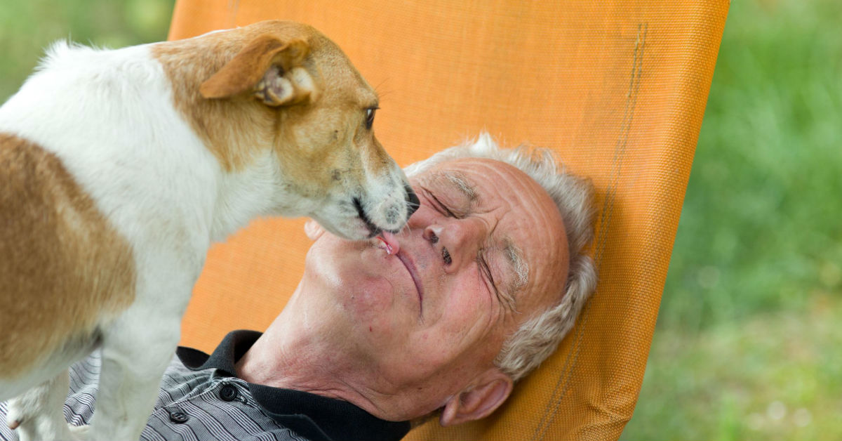Cani e pensionati: perché Fido è un aiuto per gli anziani
