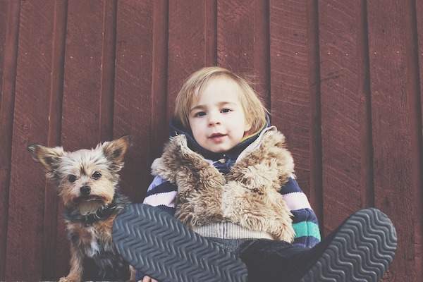 cani e bambini, il loro rapporto