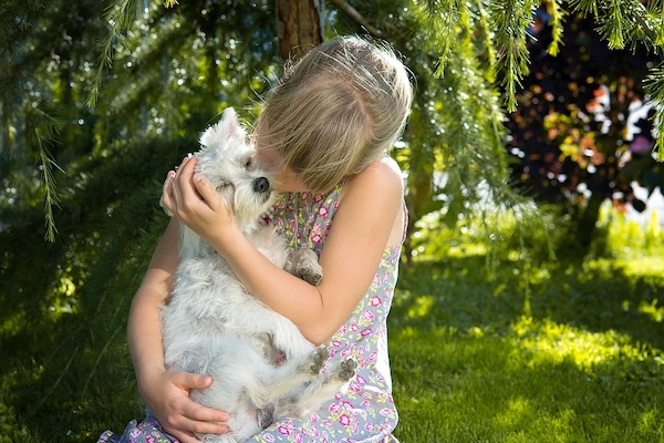 Ecco come creare un rapporto tra cane e nuovo bambino.