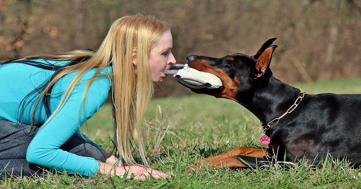 Tiro alla fune con il cane: come giocarci in modo sano e quali sono le funi migliori