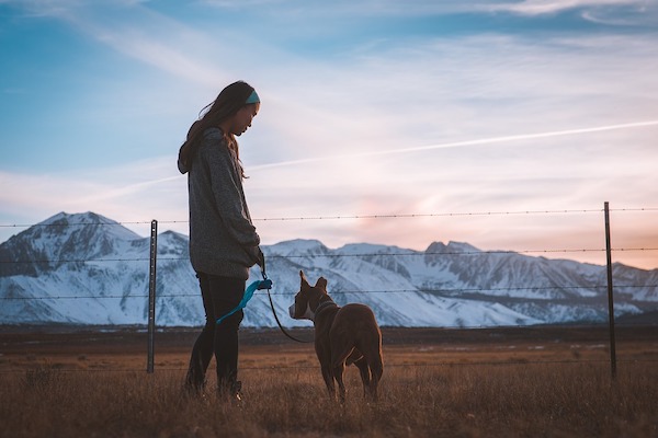 Il comportamento dei cani è sensibile alle associazioni