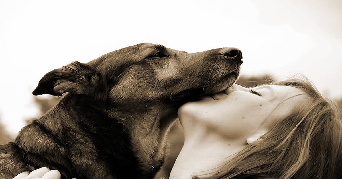 Come mai i cani giocano con i capelli (e li tirano)?