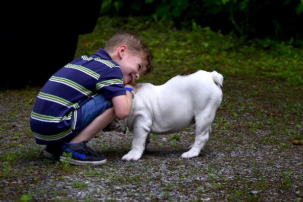 Come addestrare il cane a stare con i bambini in tutta sicurezza