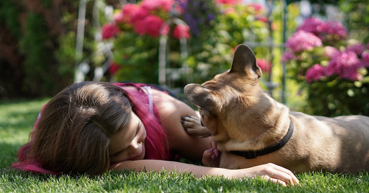 Zampa dominante nel cane: esiste? Ne hanno una più forte?