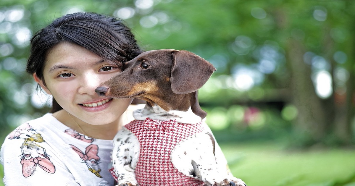 Comfort zone per cani: cos’è e perché è davvero utile