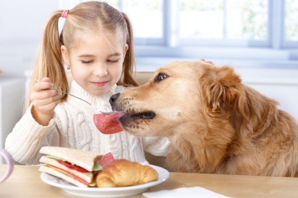 cane mangia il salame