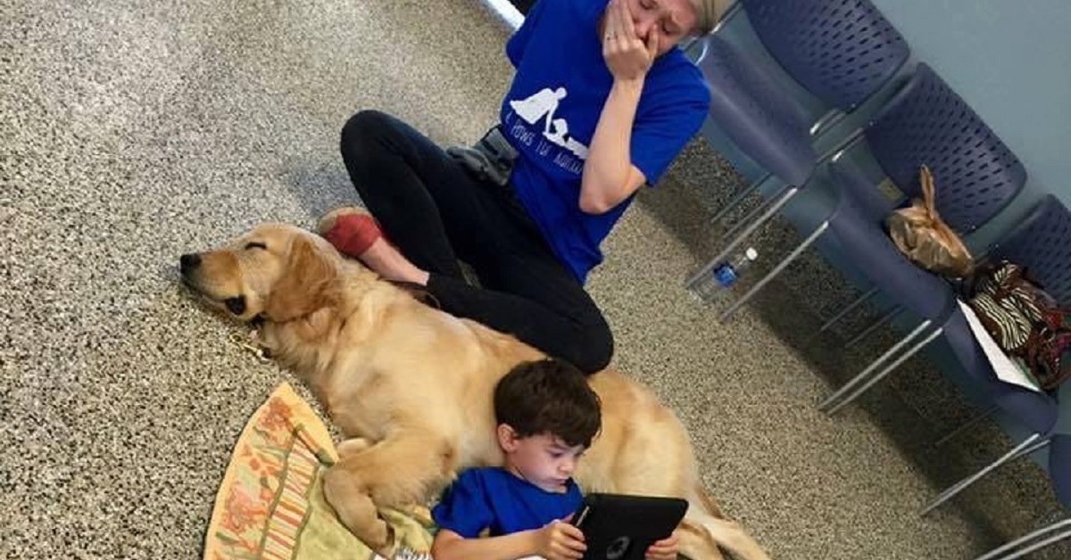 Il cane viene abbracciato per la prima volta dal figlio autistico