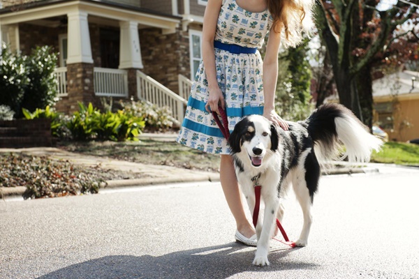 ragazza che passeggia insieme al suo cane