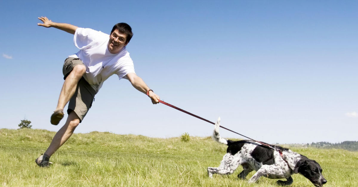 Insegnare al cane a non tirare al guinzaglio: ecco come fare