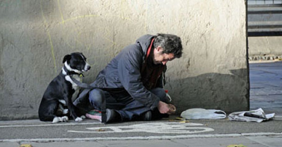 Milano, i cani dei senzatetto e i loro proprietari sapranno dove vivere