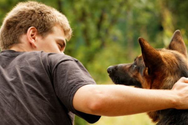 cane accanto al padrone