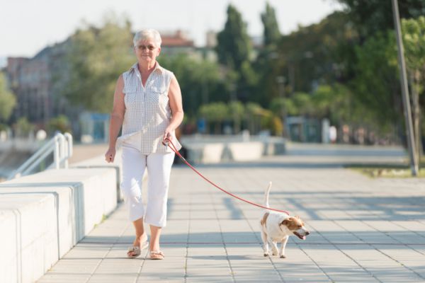 passeggiare insieme al cane