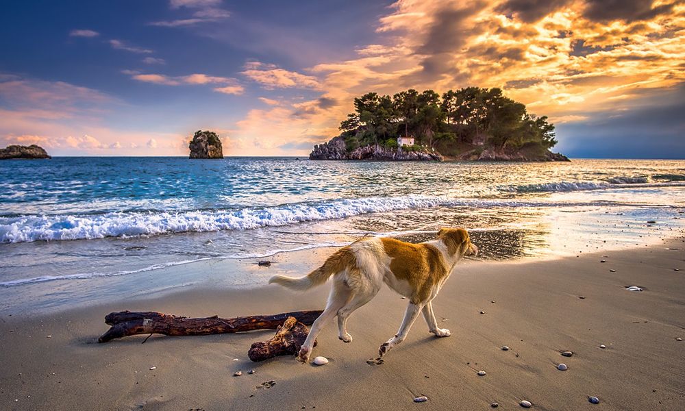 passeggiata-spiaggia