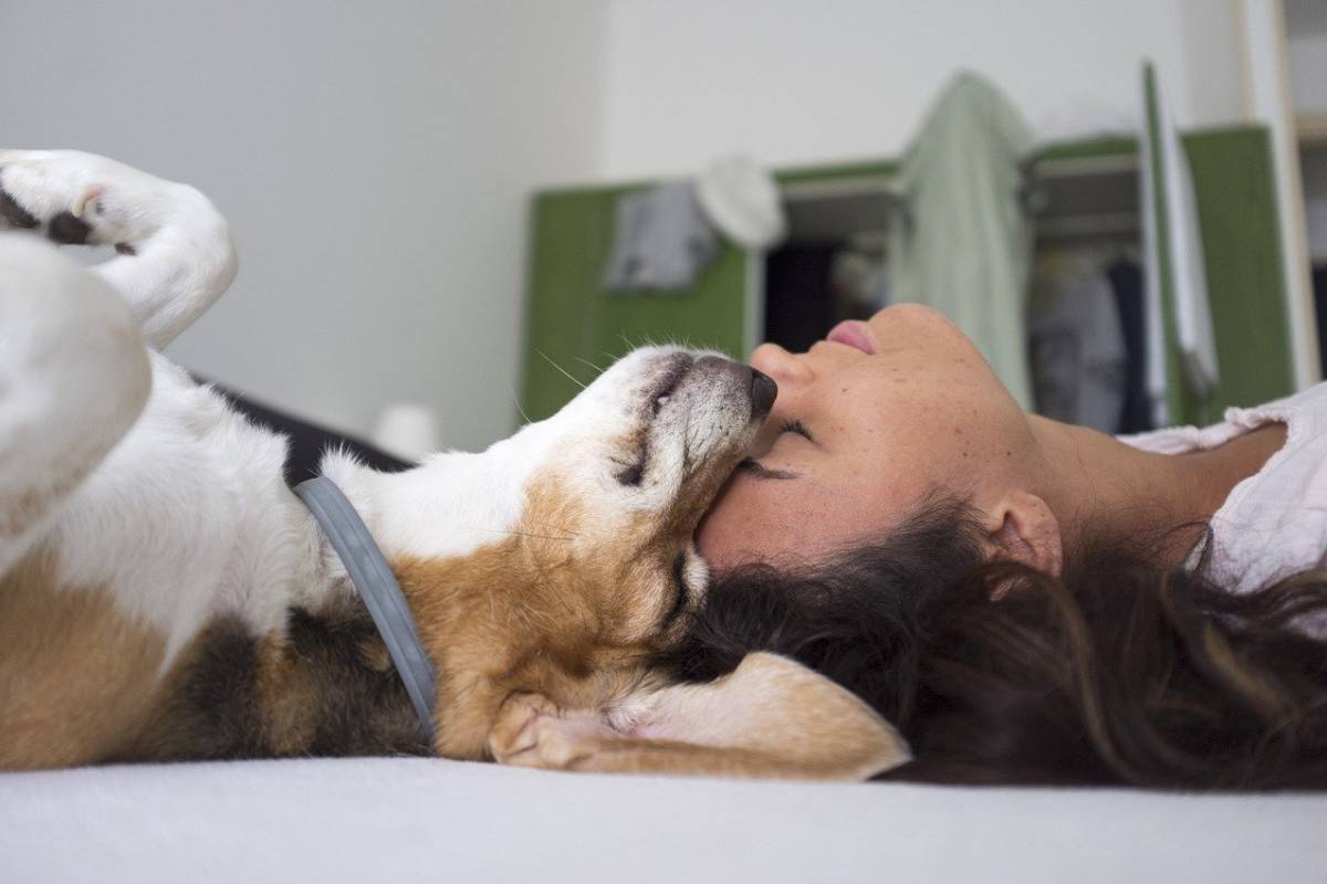 cane che dorme con una ragazza