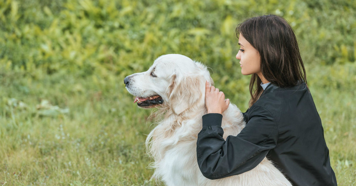 Perché i cani vivono così poco?