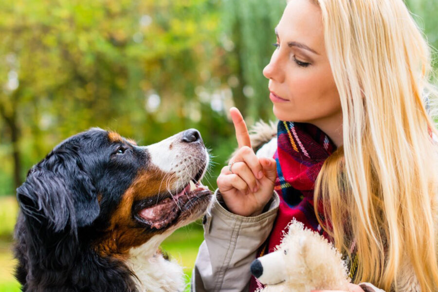 punire il cane in maniera proficua