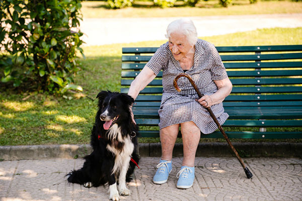 cane e anziana