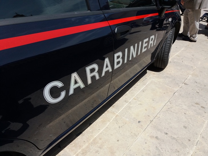 salvataggio-carabinieri-cane