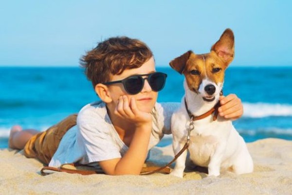 cane e bimbo in spiaggia