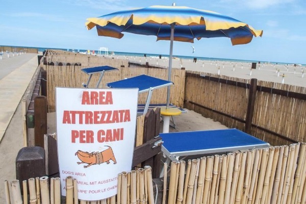 area attrezzata per cani