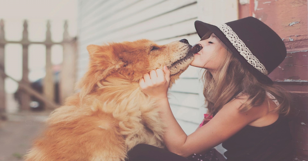 Al cane piace il suono dei baci? Perché corre quando lo sente?