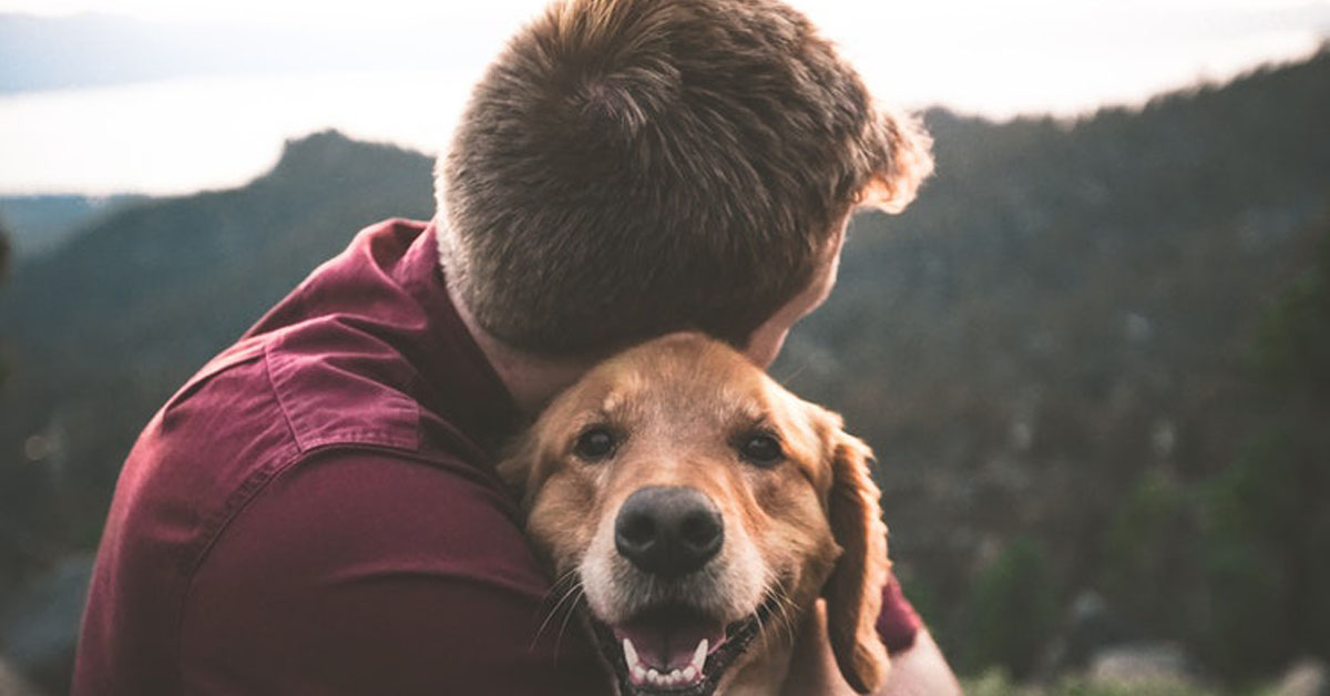 Il 26 Settembre è la giornata mondiale degli amanti dei cani