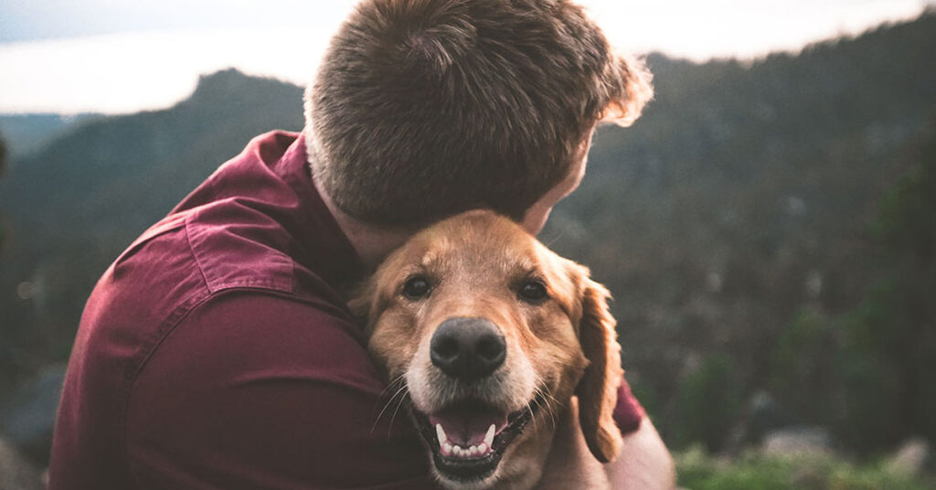 Cane abbracciato da un ragazzo