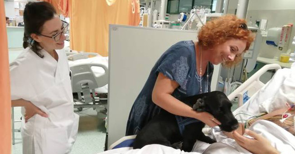 Empoli: cane va all’ospedale a trovare il proprietario in terapia intensiva
