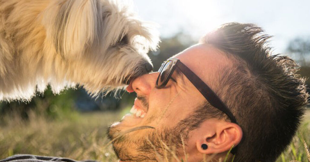 Cane felice con un uomo