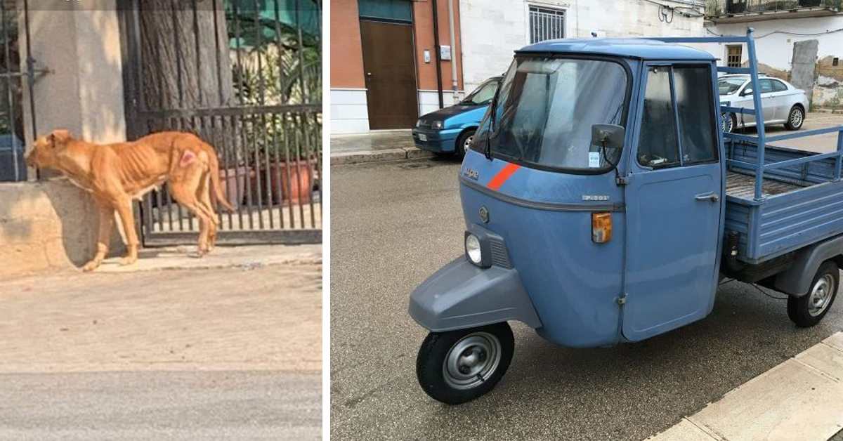 Ragusa: cane legato ad una motoape e trascinato per la strada