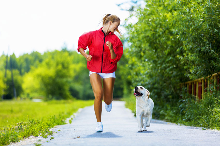 Correre insieme al cane