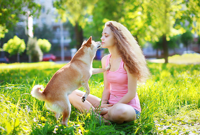 il cane ama il suono del bacio 