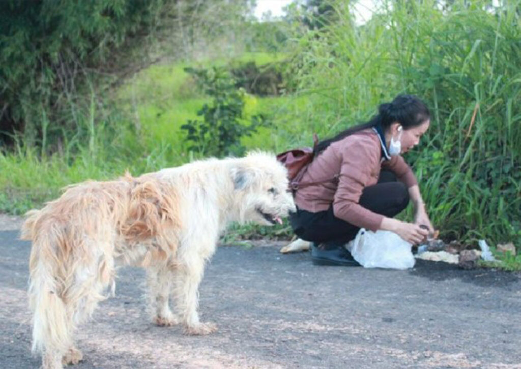 La storia del cane Leo che ha atteso i suoi proprietari