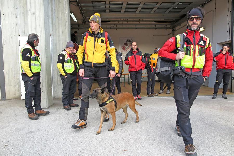 Squadra di cani da ricerca