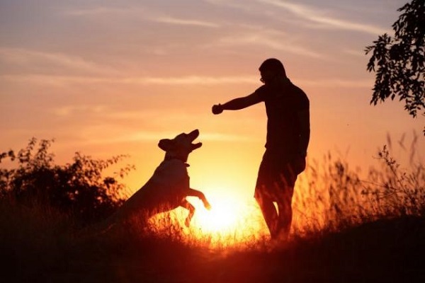 cane e padrone al tramonto