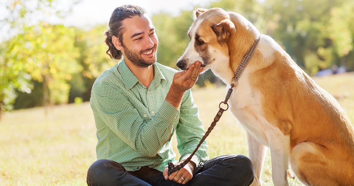 Addestrare il cane con gli snack, come fare (senza esagerare)