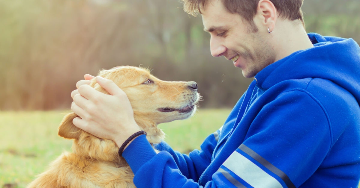 Come aiutare chi ha perso per sempre un cane