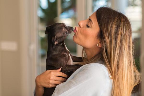 al cane piace il suono dei baci 