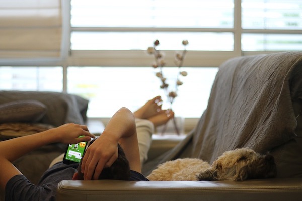 Perché ai cani piace guardare gli altri cani in televisione