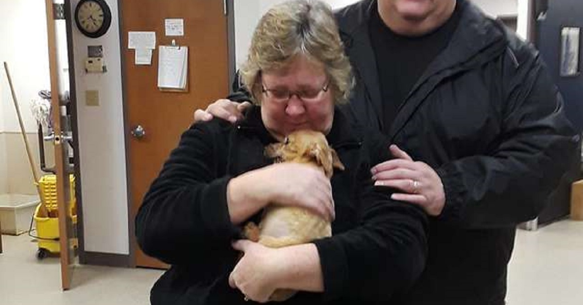 Cane abbandonato sotto un ponte con del nastro avvolto sul muso